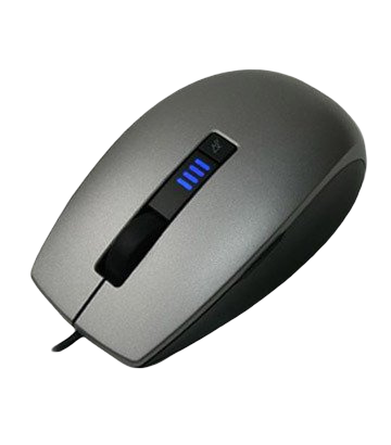 Souris classique